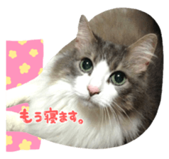 rei&rin photo ver. sticker #15099245