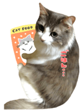 rei&rin photo ver. sticker #15099247