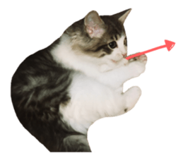 rei&rin photo ver. sticker #15099256