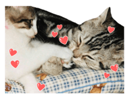 rei&rin photo ver. sticker #15099259