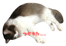 rei&rin photo ver. sticker #15099261