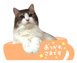 rei&rin photo ver. sticker #15099262