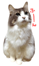 rei&rin photo ver. sticker #15099263