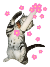 rei&rin photo ver. sticker #15099264