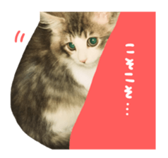 rei&rin photo ver. sticker #15099265