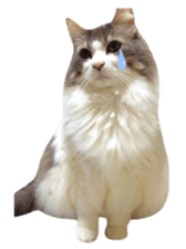 rei&rin photo ver. sticker #15099268