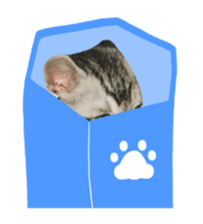 rei&rin photo ver. sticker #15099271