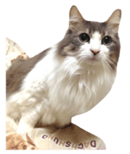 rei&rin photo ver. sticker #15099274