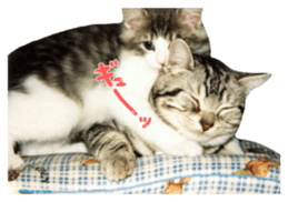 rei&rin photo ver. sticker #15099276