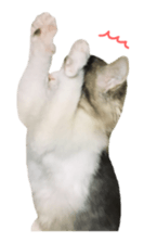 rei&rin photo ver. sticker #15099282