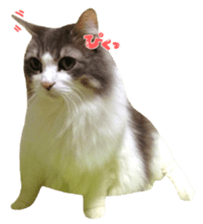 rei&rin photo ver. sticker #15099283