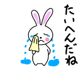 Cute rabbit everyday conversation 2 sticker #15099426