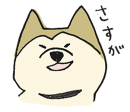 Akita-dog Sticker3 sticker #15099826