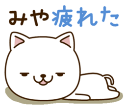 My cat"Miya" sticker #15100615