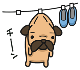 Dear Sirs Mr.Pug sticker #15100884