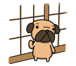 Dear Sirs Mr.Pug sticker #15100896