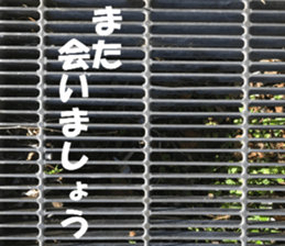 The ground and wall at Tokyo sticker #15101288