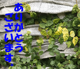 The ground and wall at Tokyo sticker #15101291