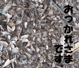 The ground and wall at Tokyo sticker #15101297