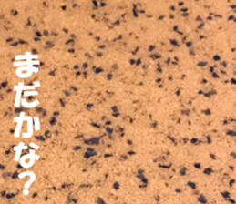 The ground and wall at Tokyo sticker #15101314