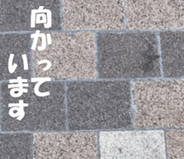 The ground and wall at Tokyo sticker #15101315