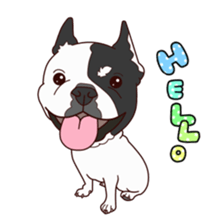 French bulldog Boo Sticker sticker #15102317