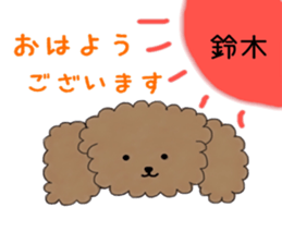 poodle suzuki's everyday sticker #15102412