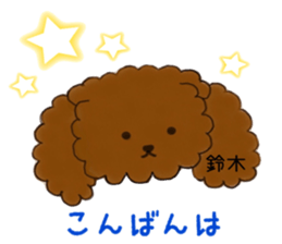 poodle suzuki's everyday sticker #15102413