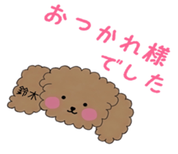 poodle suzuki's everyday sticker #15102414