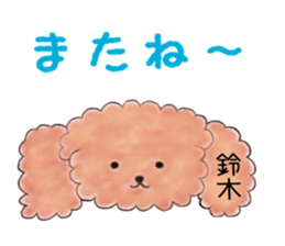 poodle suzuki's everyday sticker #15102416