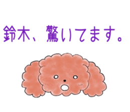 poodle suzuki's everyday sticker #15102421
