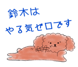 poodle suzuki's everyday sticker #15102423
