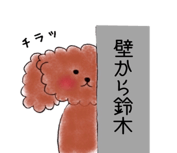 poodle suzuki's everyday sticker #15102424