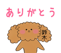 poodle suzuki's everyday sticker #15102428