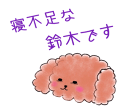 poodle suzuki's everyday sticker #15102429