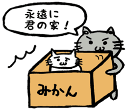 Cool cats "Jirokichi and Gomazo" sticker #15103244