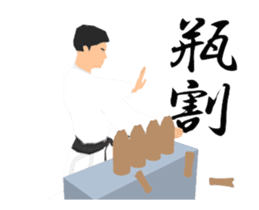Karate animation destruction sticker. sticker #15103340