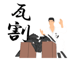 Karate animation destruction sticker. sticker #15103343