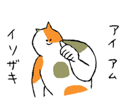 Calico cat's name is Isozaki sticker #15103424
