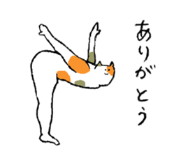 Calico cat's name is Isozaki sticker #15103429