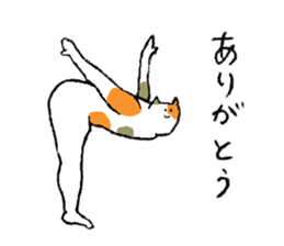 Calico cat's name is Isozaki sticker #15103429