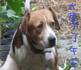 An Cheng sticker #15104057