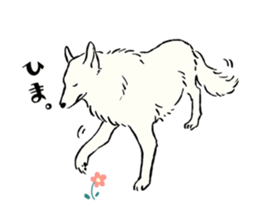 Animals of the Arctic & the Antarctic 9 sticker #15104611