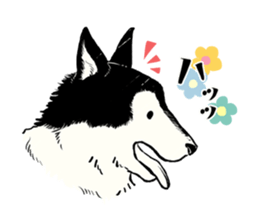 Animals of the Arctic & the Antarctic 9 sticker #15104621