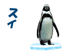Moving penguin sticker #15104983