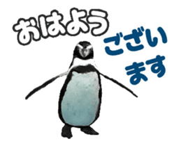 Moving penguin sticker #15104985
