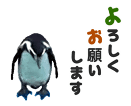 Moving penguin sticker #15104988