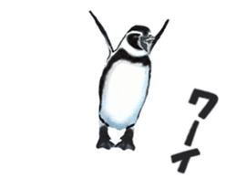 Moving penguin sticker #15104995