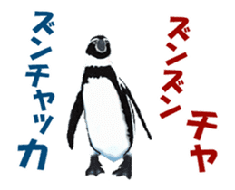 Moving penguin sticker #15104996