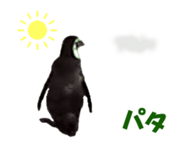 Moving penguin sticker #15104997